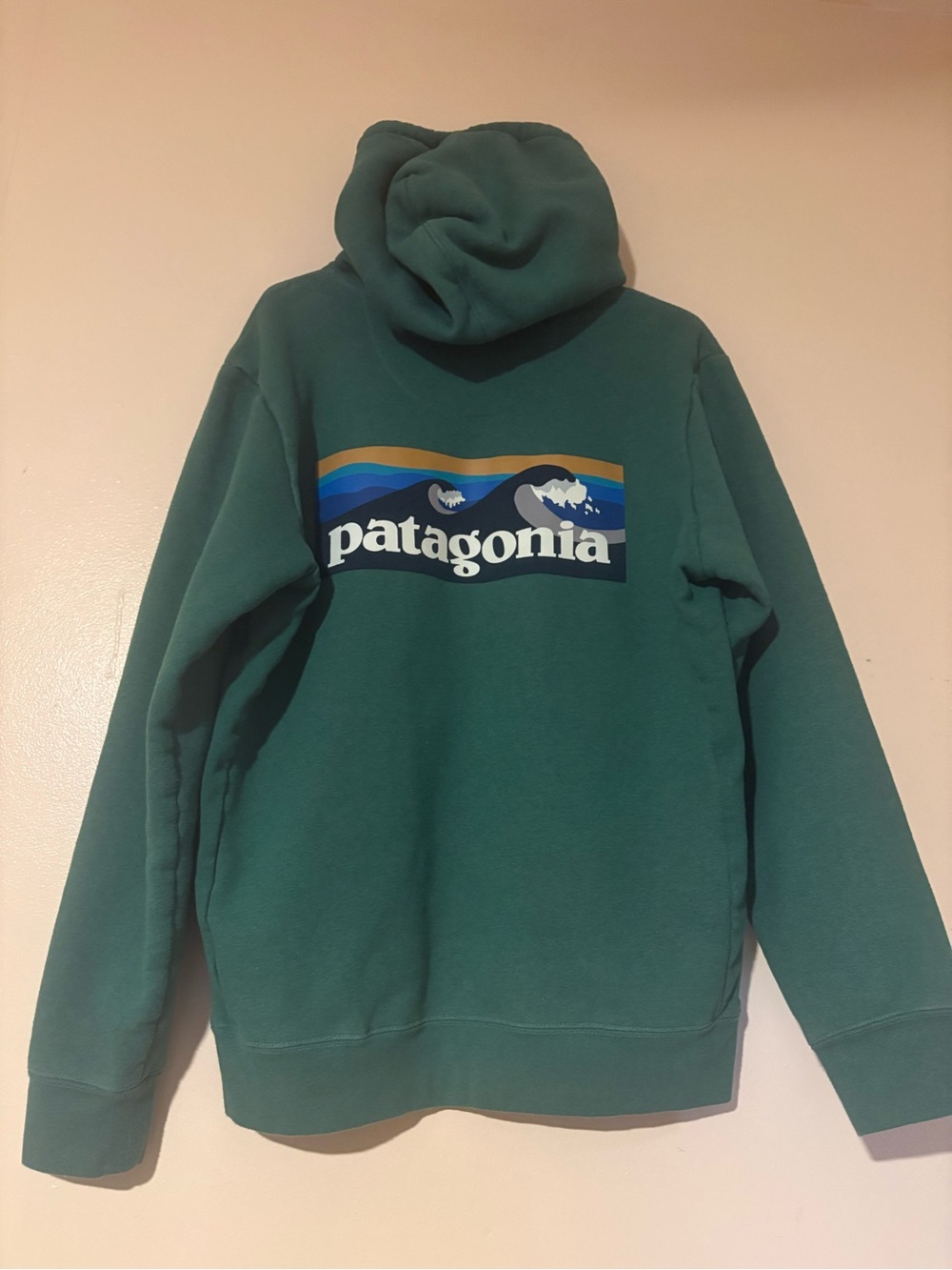 Patagonia Teal Green Hoodie with Multicolor Logo
